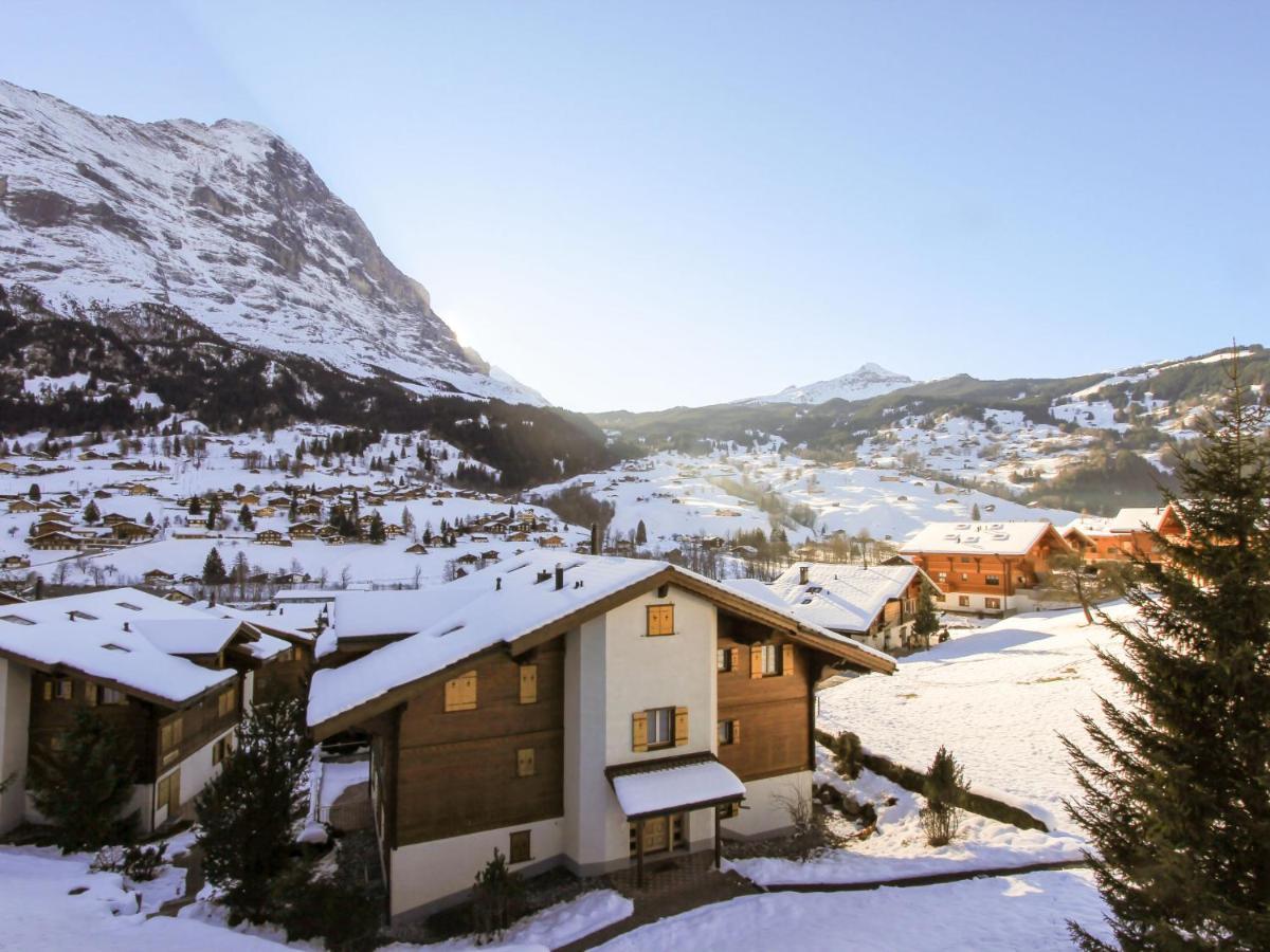 Apartment Chalet Cortina By Interhome Grindelwald Kültér fotó